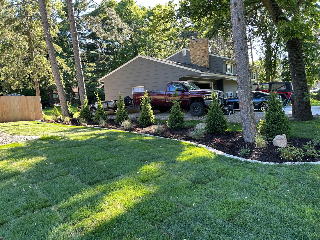 How to Boost Your Home’s Curb Appeal with Landscaping