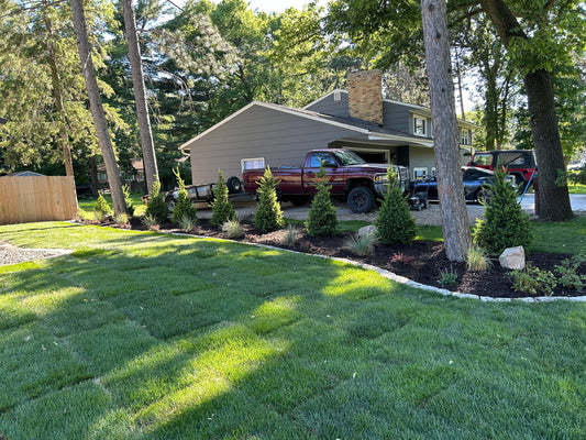 How to Boost Your Home’s Curb Appeal with Landscaping